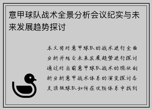 意甲球队战术全景分析会议纪实与未来发展趋势探讨
